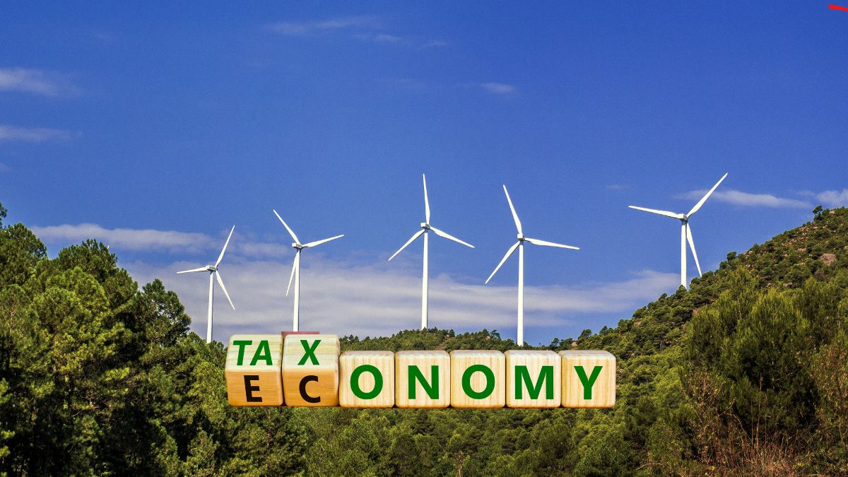 what-is-climate-finance-taxonomy-announced-in-budget-2024-how-will-it-boost-investment-in-energy-sector